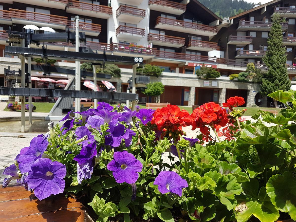 Holidays Groupes Anzere Anzère Exterior foto